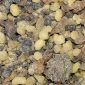 Oro Incenso Mirra Kg.1 (Miscela)