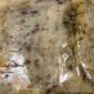 Elemi Kg.1